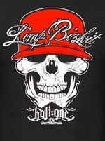 Limp Bizkit, American NU Metal Band, Awesome, Logo Fridge Magnet