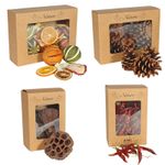 Dried Fruits & Cones In a Presentation Box