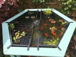 Fish Pond Cover for Clear View Garden Aquarium Range