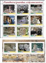 Stamp blocks complete Persian Leopard 2012 Mongolia Fauna issue