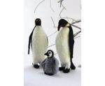 Needle Felting Kit The Penguin Family - Designed Chicken Creations World Of Wool