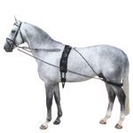 Horse Lunge Training System Aid Equvi To Pessoa Develops Top Line Cob/Full
