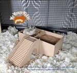 Hamster Dig Box, Hamster  Sand Box, Small Animal Dig Box