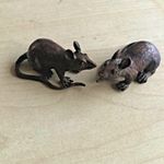 Bronze Rats Mice Brown Figures Sculpture Chinese Austrian Solid Vintage Pair Old