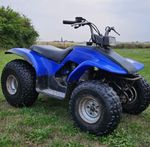 Yamaha Breeze 125 ATV 2004