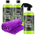 Ceramic Car Spray Coating Si02 Vehicle Paint Protection Sealant Pure Definition