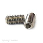 M2 M3 M4 M5 M6 A2 Stainless Steel Socket Set Cup Point Grub Screws - 2 To 30mm