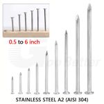Stainless Steel Flat Head Wood Nails 0.5 to 6 inch DIY Carpentry Metal Pins 304