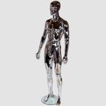 Full Body Male Man Mannequin Chrome Abstract Dummy Display Silver Bust Form New