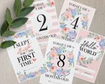 Pink Floral Milestone Cards • Baby Memory Cards •  Baby Gift • 1st Year