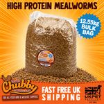 Dried Mealworms Wild Bird Food 12.55kg Bulk Bag Premium High Protein Treats