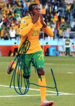 SOUTH ARICA, TOTTENHAM & PRESTON: BONGANI KHUMALO SIGNED 6x4 ACTION PHOTO+COA
