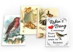 Robins Robin Red Breast Bird Vintage Set B 4 X Fridge Magnets (B) Set Retro