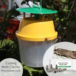 Codling Moth Pheromone Trap Catcher & Lures For Apple and Pear Trees
