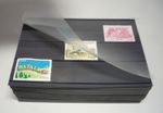 1 PACK (100 CARDS) C6 WITH 3 STRIPS