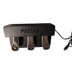 3 Pedal Triple Pedal for Electric Pianos Keyboards Digital Pianos Keyboards