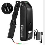 Ebike Battery Hailong 36V 48V 10Ah 13Ah 750W Electric Bicycle Battery W/Charger