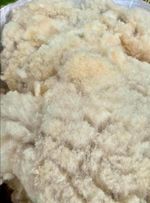 Raw Unwashed reel cross Sheep Fleece Wool Spinning Craft Felting 