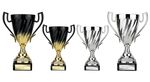 Personalised Intrepid Presentation Cup Trophy Award for Any Sport Engraved