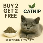 CATNIP - pure dried cat nip - You won't buy stronger!!  8g.