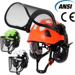 CE Forestry Helmet w/ Mesh Face Shield Bluetooth Earmuffs Goggles Chainsaw Hat