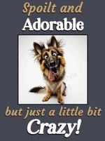 German Shepherd Dog Funny Flexible Fridge Magnet exclusive birthday gift