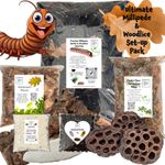 Ultimate Millipede & Woodlice set-up pack Substrate  Hardwood Moss