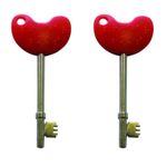 2 PACK NKS RADAR KEY Disabled Toilet Bathroom Door Access Braille Turn Pub Cafe