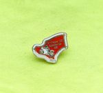 2002 Tandragee 100 Road Race Motorcycle bike enamel badge Supporters Club