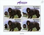 DOGS (Newfoundland) Working Dog Breeds MNH 4v-Stamp Sheet (2021 Guinea)