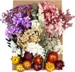 3 Boxes Natural Dried Flowers Set, Mixed Pressed Dried Flowers and Leaves, Multi