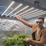 FD6500 Spider Samsung LED Grow Lights Dimmable Full Spectrum Indoor Hydroponics