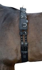 HKM Lunging Belt - Softoprene Padding