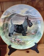 Royal Doulton Scottie Terrier Dog Plate