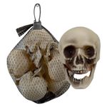 Halloween Skulls Decoration Pack Trick or Treat Party 7cm 5 Pack White