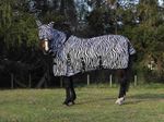 Light Zebra fly rug complete with removable mask and full belly Coverage 5”0-7”0