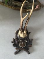 Vintage Roe Deer Antler Trophy – German Hunting Mount, Dated 1938