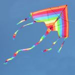 Rainbow Kite Easy Fly Long Tail Kids Adults Outdoor Beach Garden Park Summer Toy