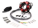 Lambretta Electronic Stator plate AC BGM