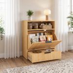 PawHut Pet Feeder Station with Storage, 2 Raised Stainless Steel Bowls, Oak