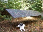 DPM Woodland Camo Waterproof Basha / Tarp / Hootchie Tent / Bushcraft Shelter
