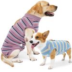 Pet Dog Recovery Suit,Wound Protecto Medical Surgical Clothe,After Surgery🔺Wear