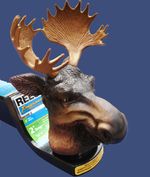 new MOOSE ANTLERS suv boat rv trailer HITCH antler Tow Ball Cover Large Towing