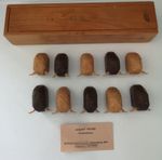 Wooden Hand Carved  Buffalo/Bison Figures Boxed 2001