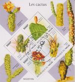 Cactus Niger Stamped 9627