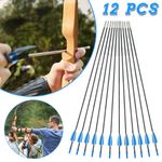 12Pcs 30 inch Fibreglass Archery Arrows Field Hunting & Target Broadhead Tool
