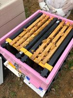 National - Langstroth Converter Bracket  Beekeeping Frame Adapter | 3 Frame Pair
