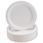 300 x 9" Rigid Strong Bagasse Disposable Party Paper Plates Biodegradable