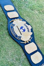 WINGED EAGLE WORLD HEAVYWEIGHT  CHAMPIONSHIP BELT 4MM WITH COVER BAG WALL HANGER