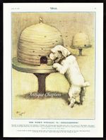 Sealyham Woggles Foolhardiness Bee Hive 1931 Cecil Aldin Dog Print P496